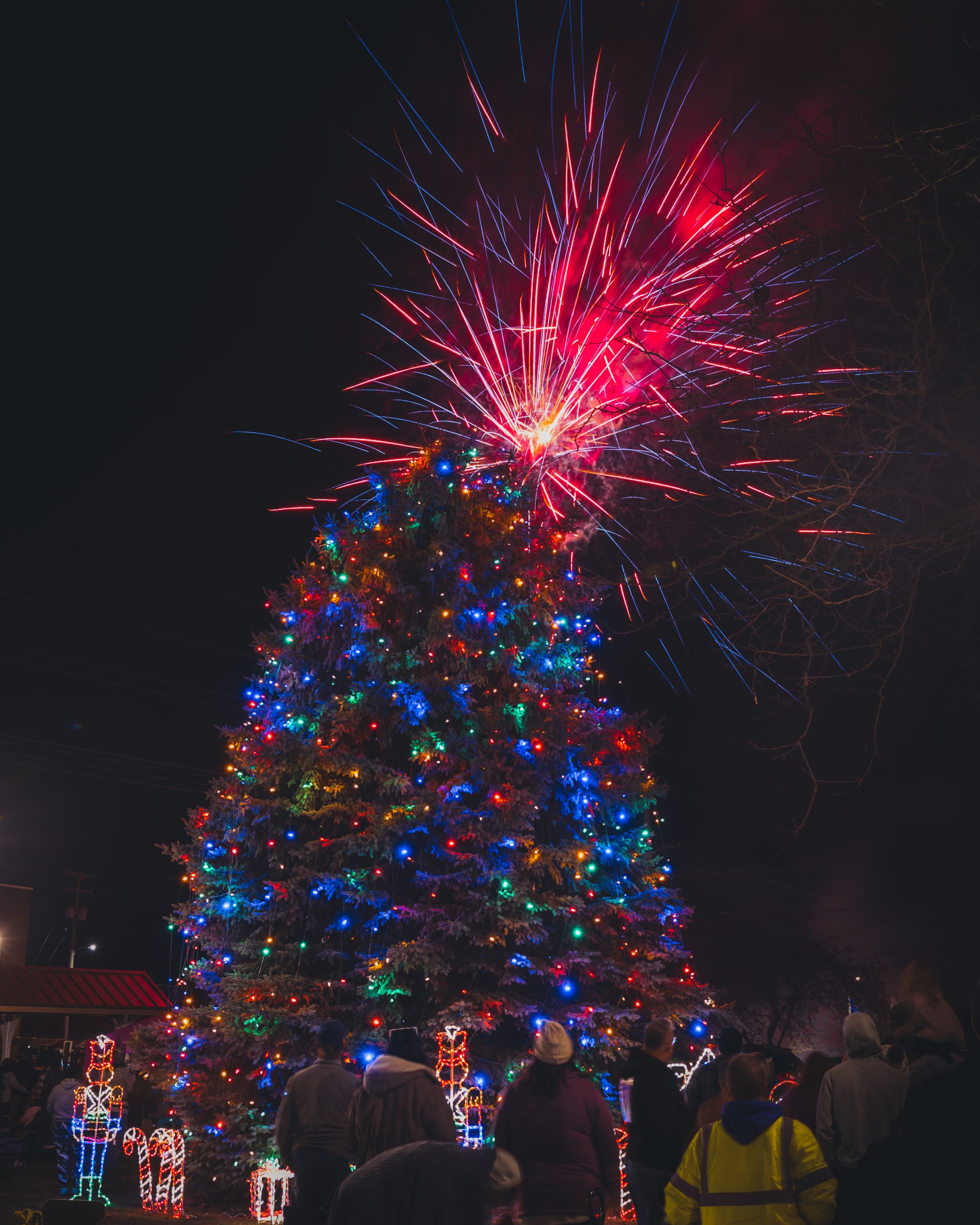 2023 Winesburg Christmas Tree